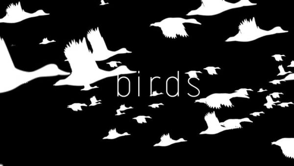 世界は数式でできている