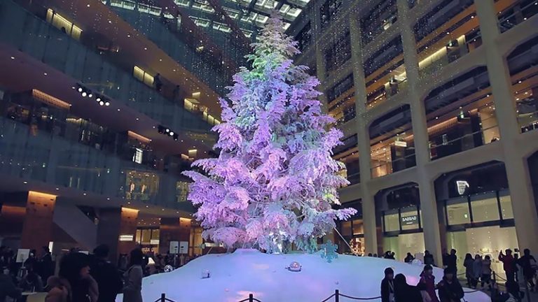 WHITE Tree Letter