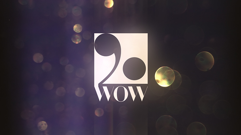 WOW 20th Anniversary Movie Logo “Glittering Particles”
