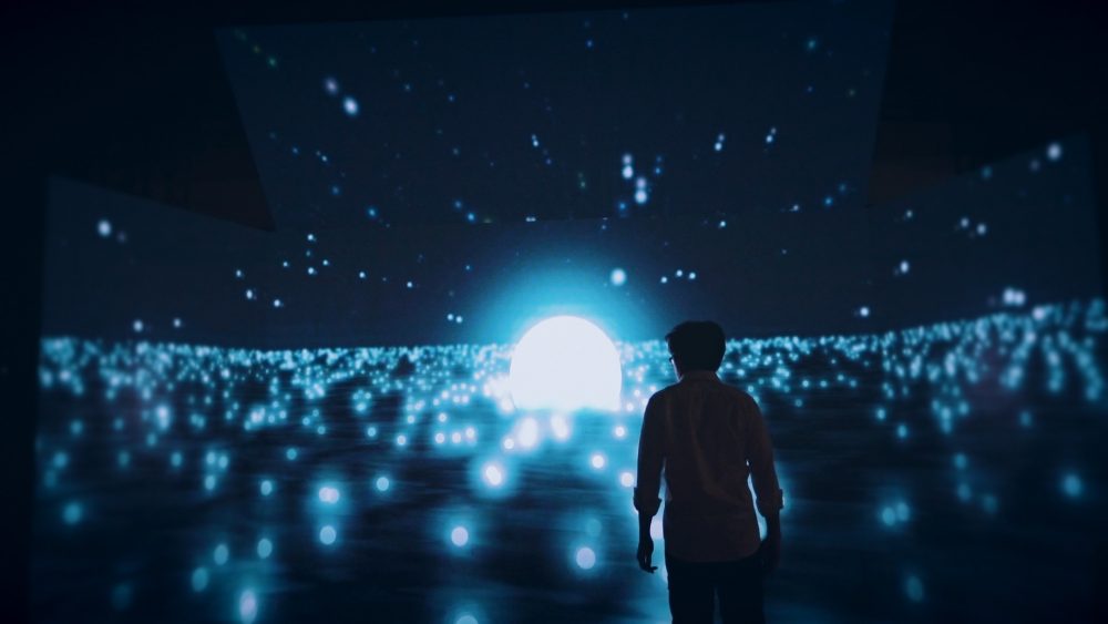 NOCTILUCA