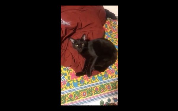 窓から見える