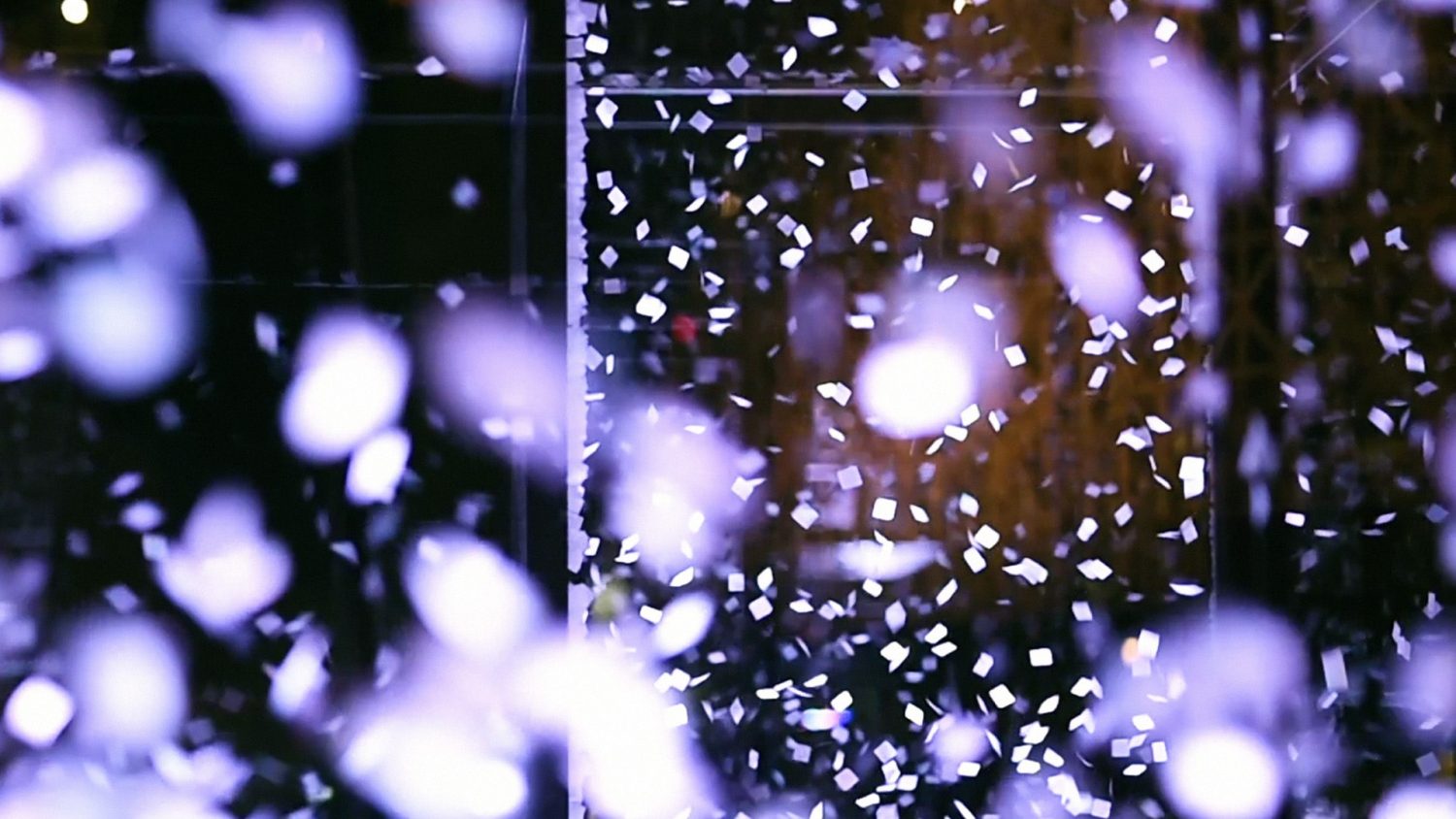 BLOOM DANCE