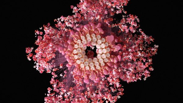 Hanami 2050 – Digital Flower Installation