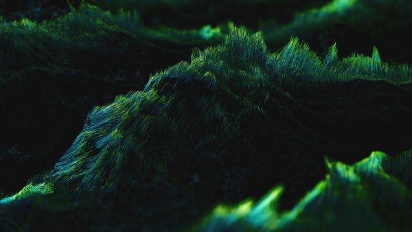 NHK8K