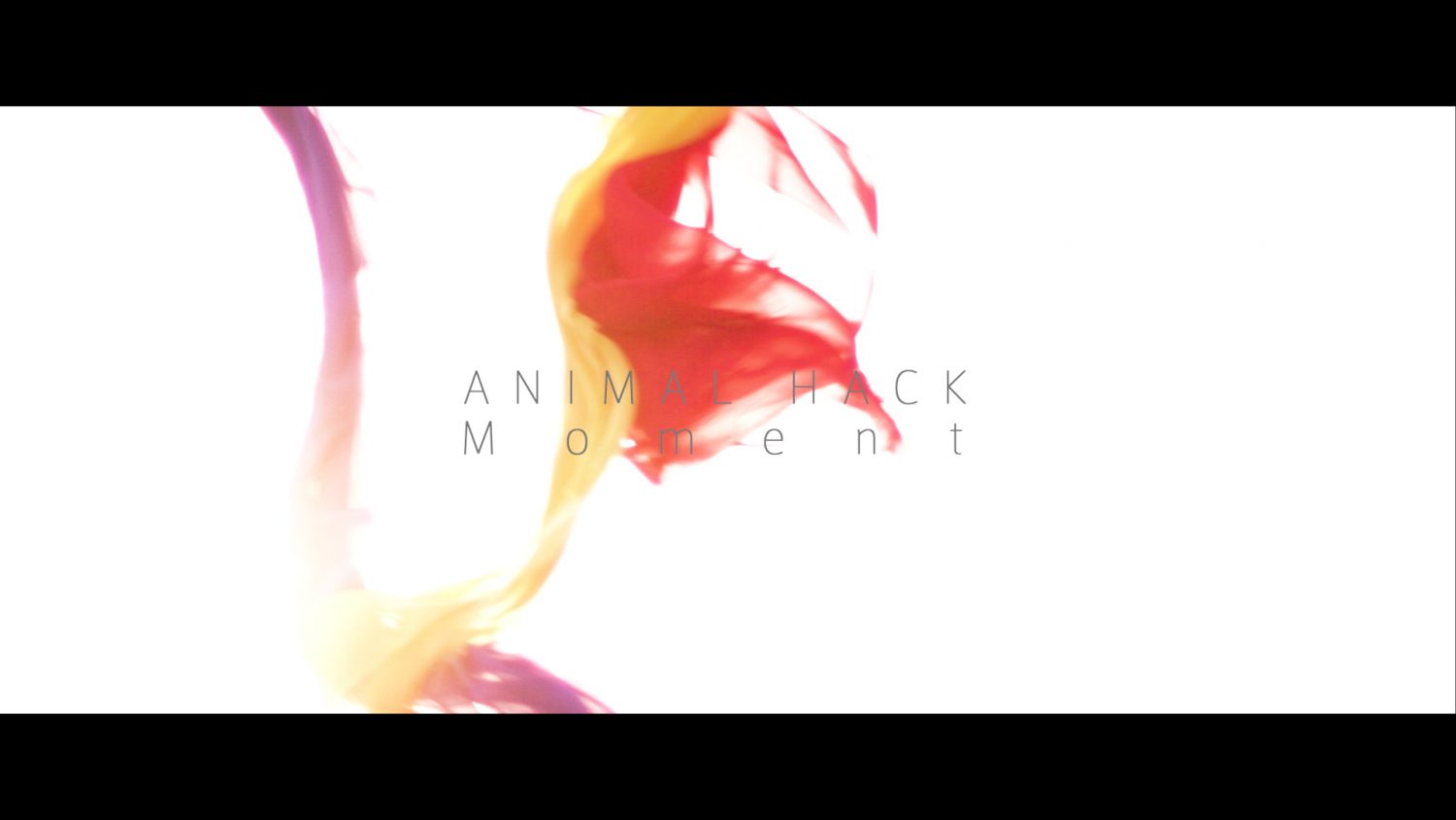 ANIMAL HACK  「Moment」