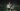 AVNIER x Salomon – “Speedcross 4”