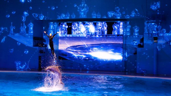 横浜八景島シーパラダイス ナイトショー  LIGHTIA