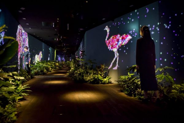 動物が住まうオフィス / An Office Where Animals Live