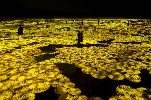 teamLab: Forest of Life & Future Park