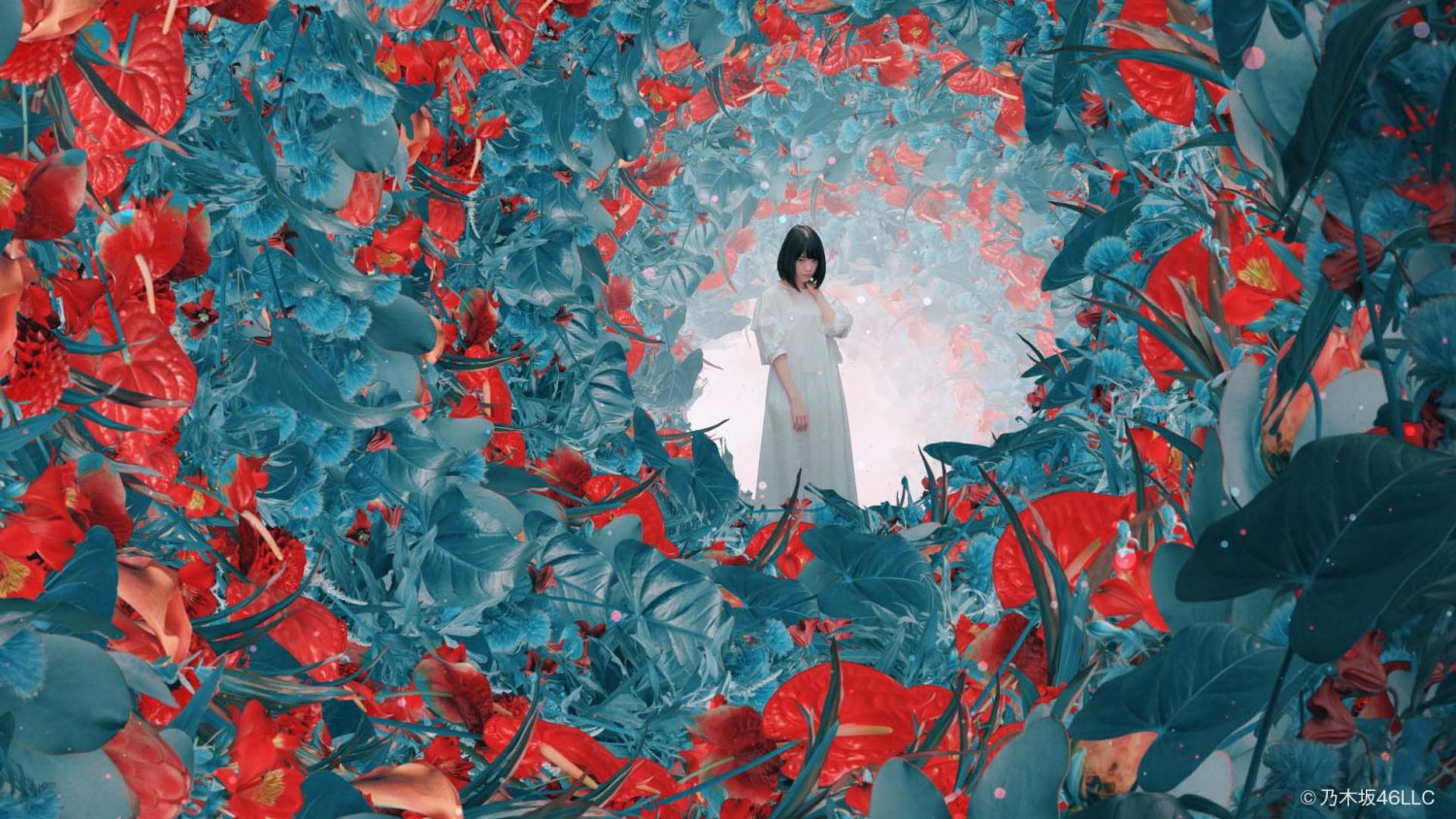 乃木坂46 堀未央奈 “FUJIBAKAMA”