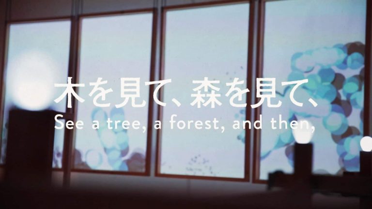 See the Trees, See the Forest,