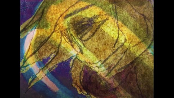 VOQ「flowerlang」(PROGRESSIVES FOrM)