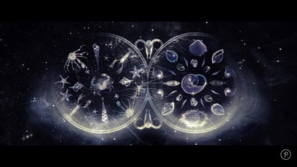 SHOWREEL 2013