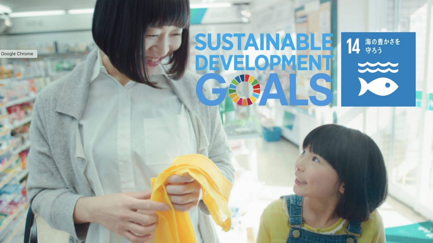 SDGs14 海の豊かさを守ろう「空飛ぶレジ袋」