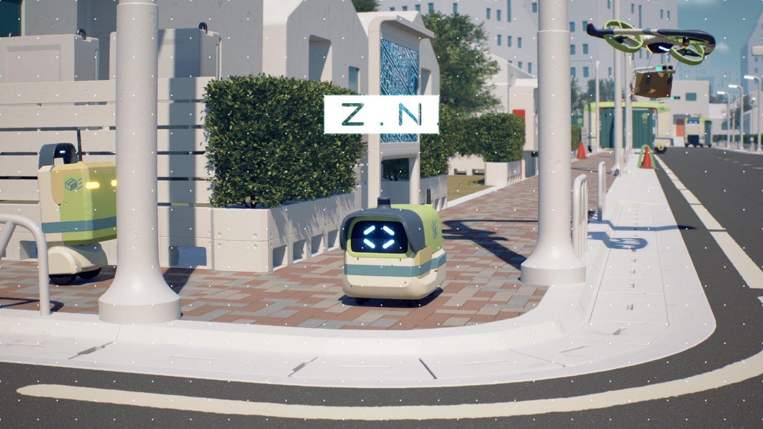Z.N.