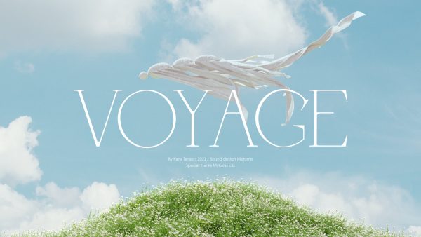 VOYAGE