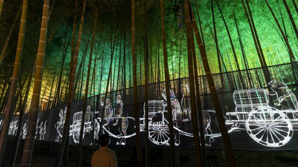 Walk, Walk, Walk – 孟宗竹林 / Walk, Walk, Walk – Moso Bamboo Forest