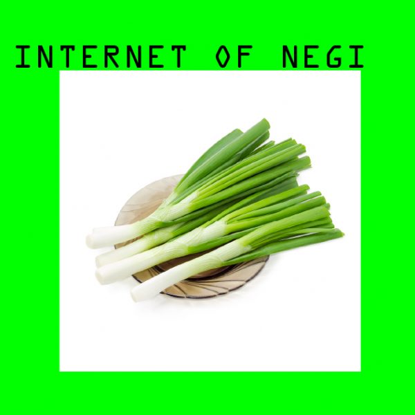 INTERNET OF NEGI