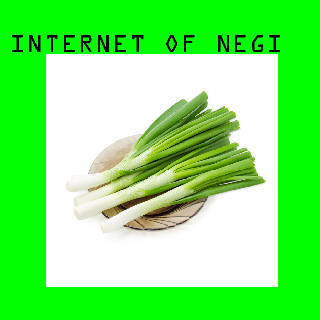 INTERNET OF NEGI