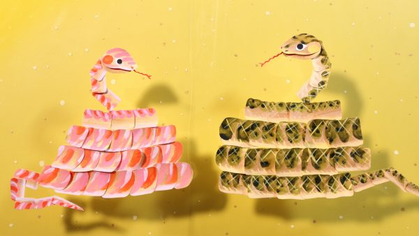 Eテレ　シャキーン！「まつりばなし」『大綱引き』