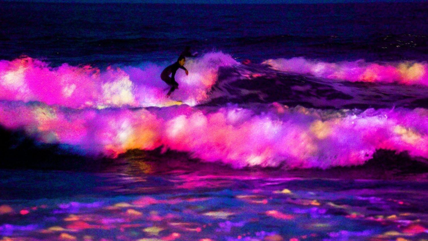海が立ち上がる時花が咲く – 四国の海 / Flowers Bloom When the Waves Rise – Sea of ​​Shikoku