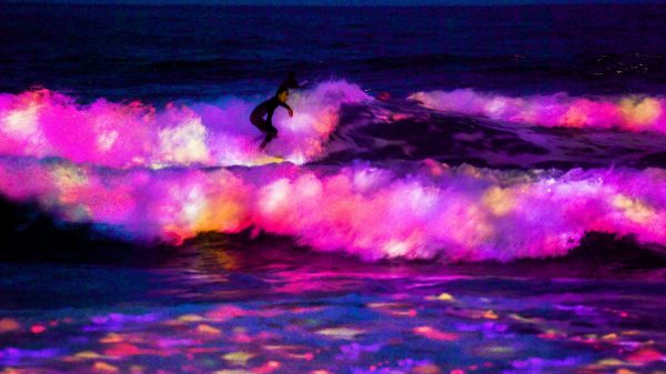 海が立ち上がる時花が咲く – 四国の海 / Flowers Bloom When the Waves Rise – Sea of ​​Shikoku