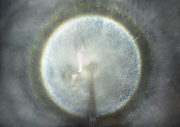 円相を通り抜けて / Walk through the Light Circle