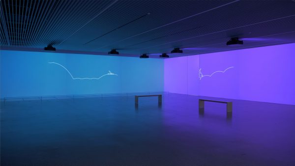 一本の線