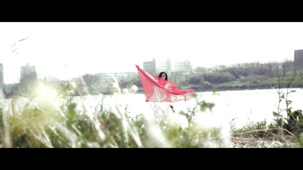 ANIMAL HACK「Moment」 Music Video
