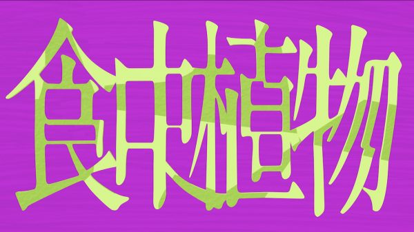 理芽「食虫植物」