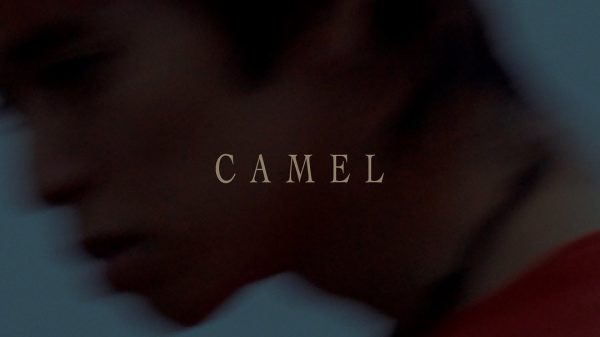PEARL CENTER – CAMEL（Official Visualizer）