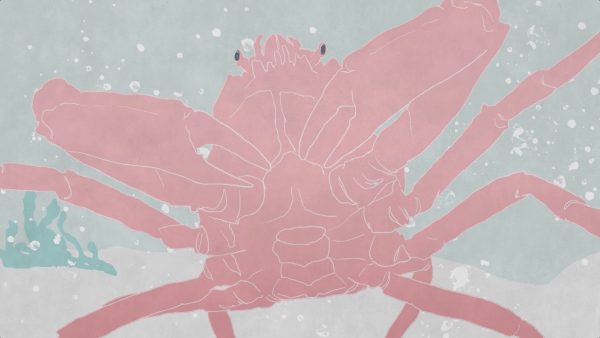 10秒アニメーション “かに”
