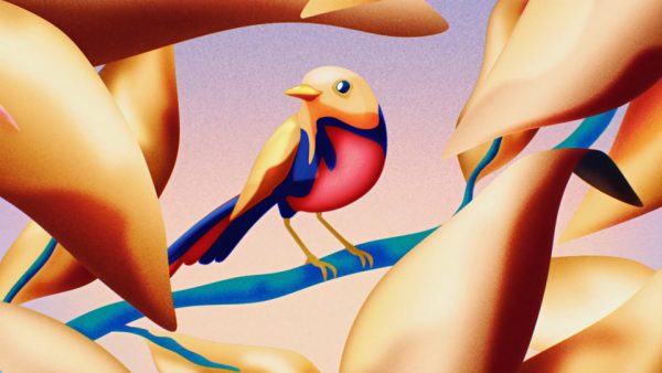 web-CHISO 2022FW「花と鳥と」