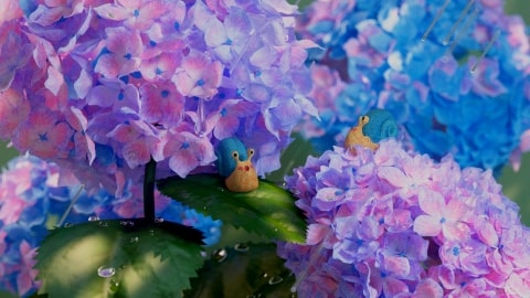 Unseen Garden