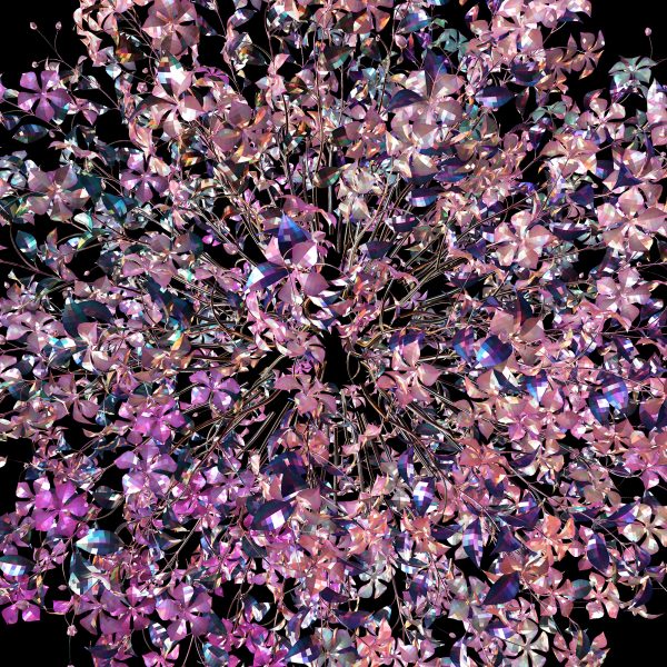 Full Bloom