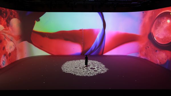 泡沫の形 The Morphology of Freely Rising Deformable Bubbles at ETERNAL Art Space
