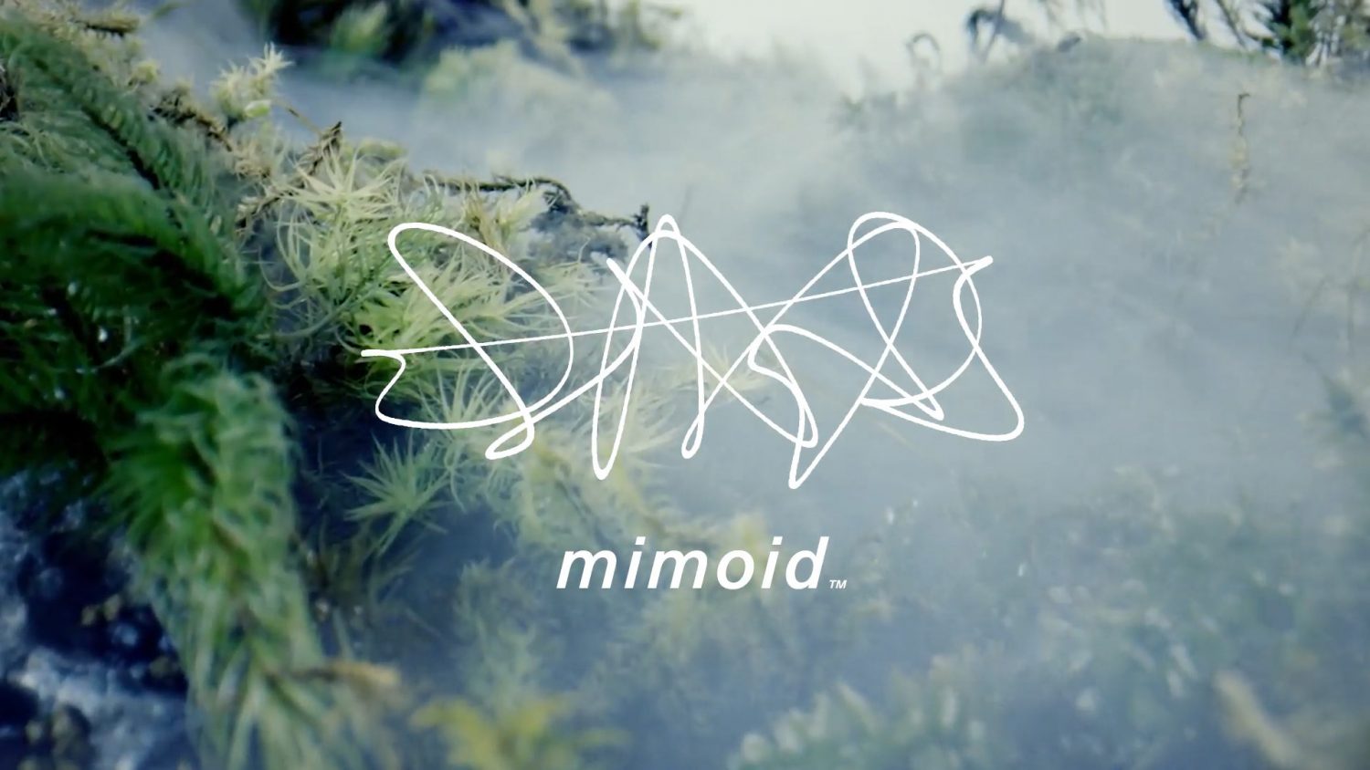 mimoid.inc Reel 2022