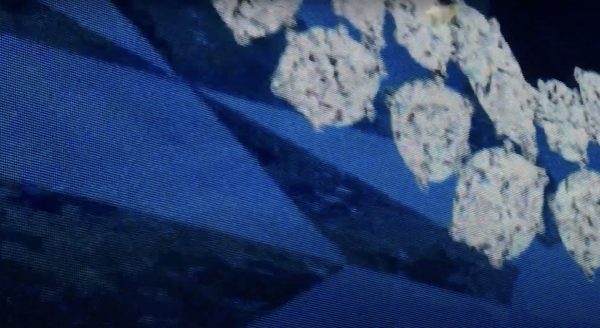 tamanaramen -“komorebi” music video