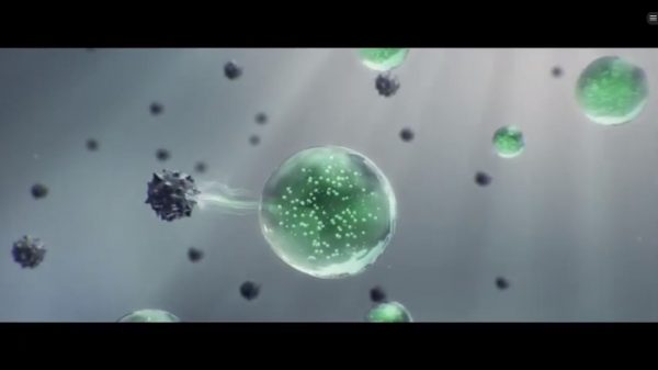 Nutrilite Triple X imovie