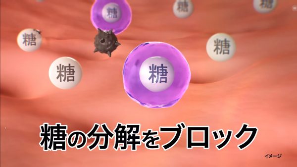 サラシア１００　「メカニズム強化」篇