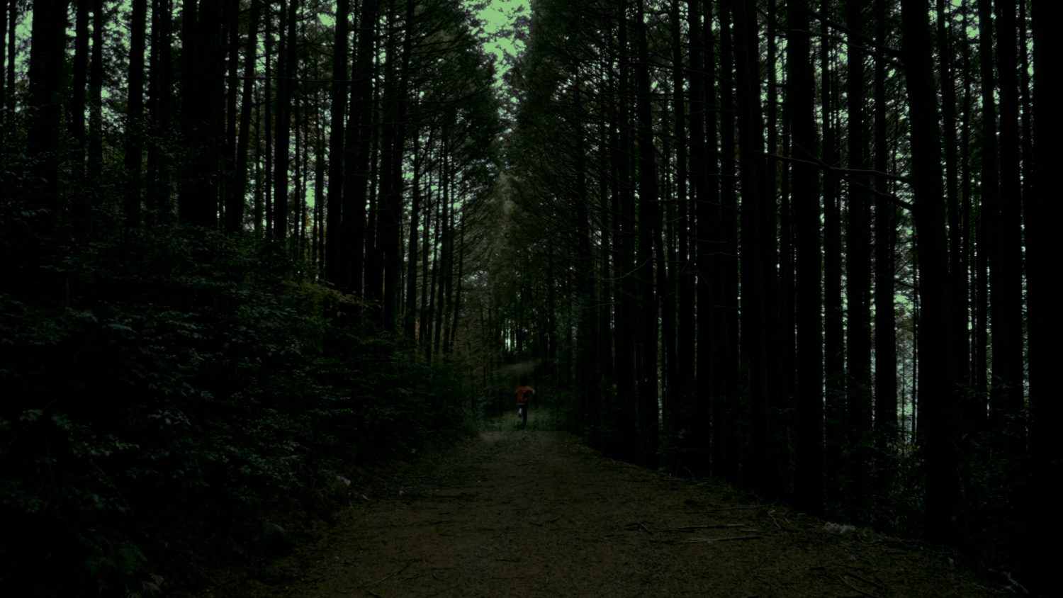 森にいる少年