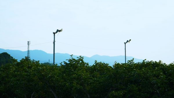 牛嶋 太洋