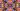 Vision of Johann Sebastian Bach