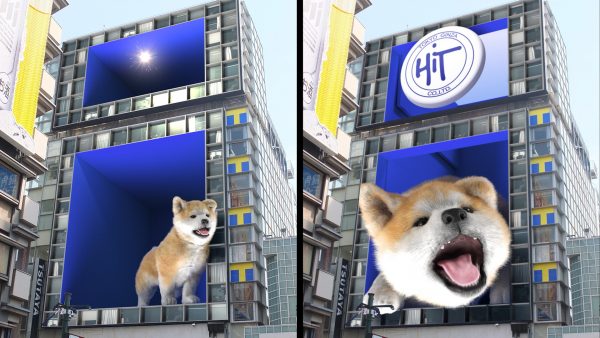 ヒット｢ツタヤエビスバシヒットビジョン｣
