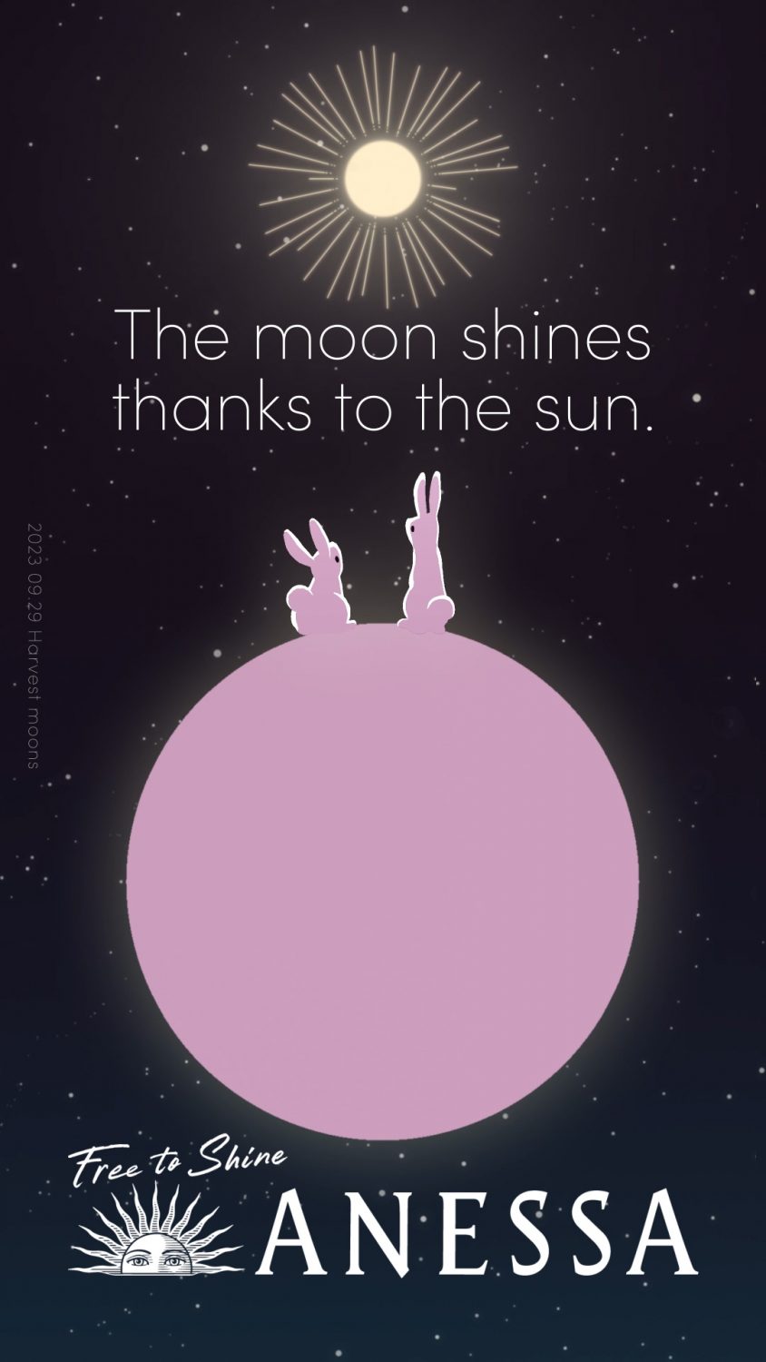 ANESSA (moon)