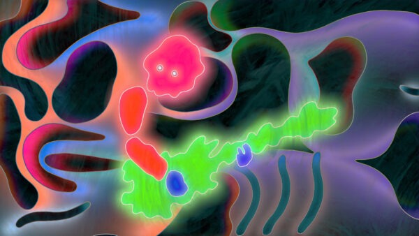 ドミコ「化けよ」