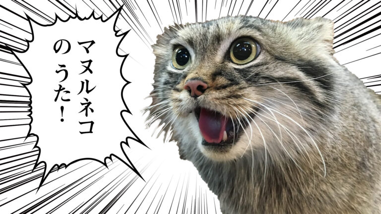 Pallas's Cat Song Official MV