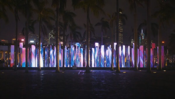 Urban Reflection
