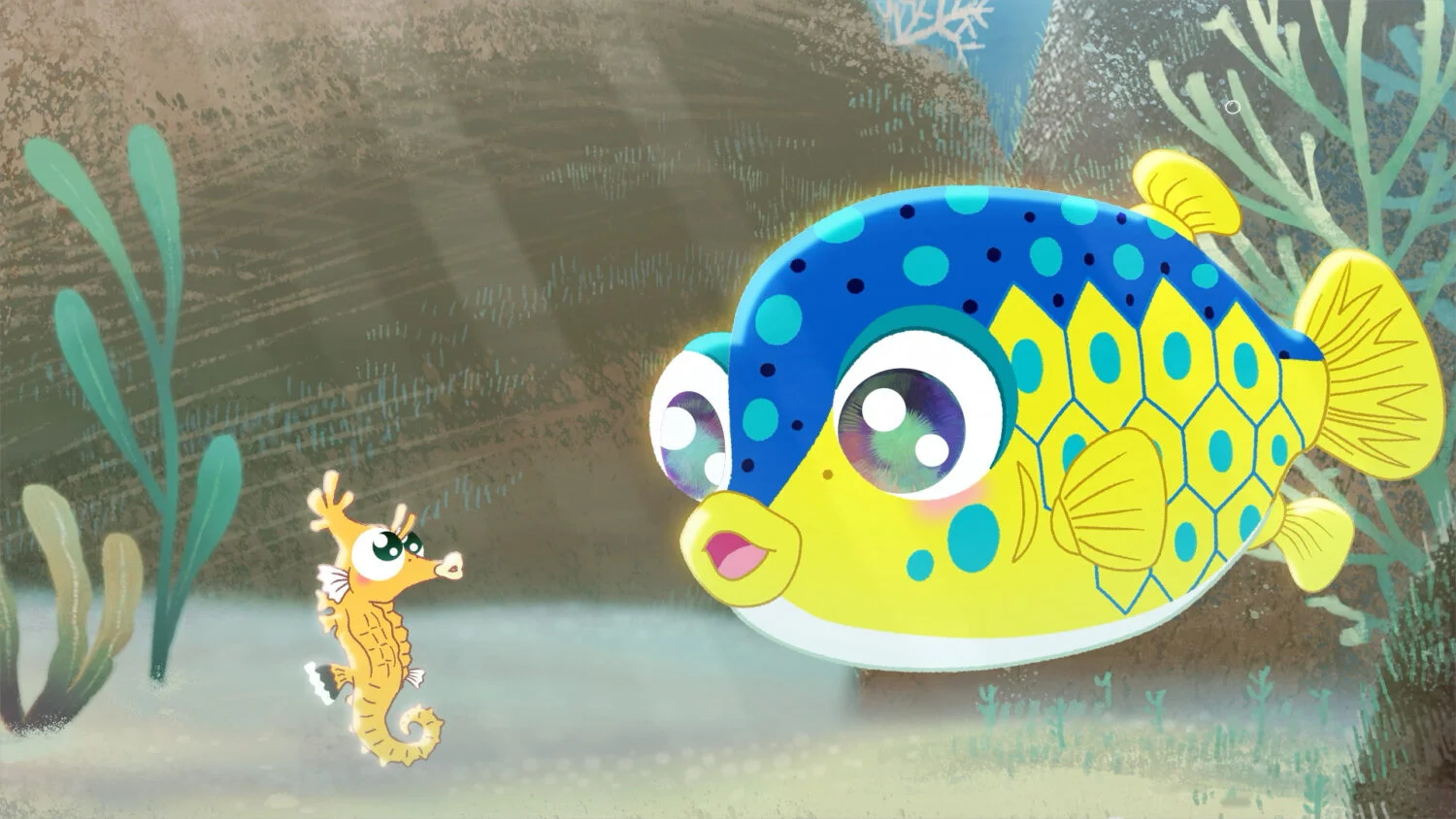 ふくちゃん様　　琉球*海花のたね ふくちゃん様 琉球*海花のたね はいたい🌺 プロフィール写真を新しく