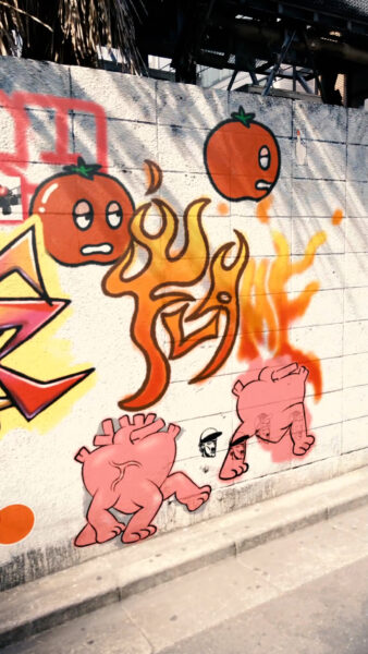 colors turf war